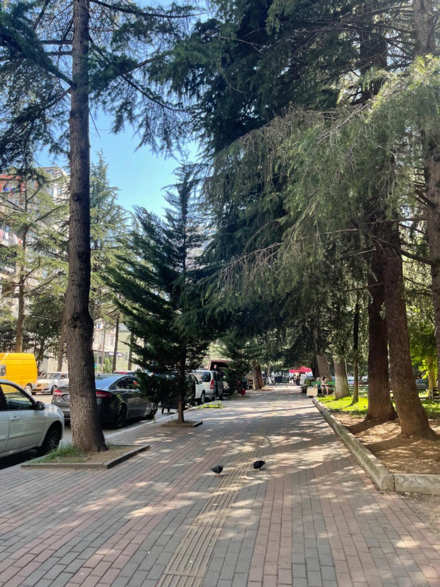 Apartament Green House Batumi Zewnętrze zdjęcie